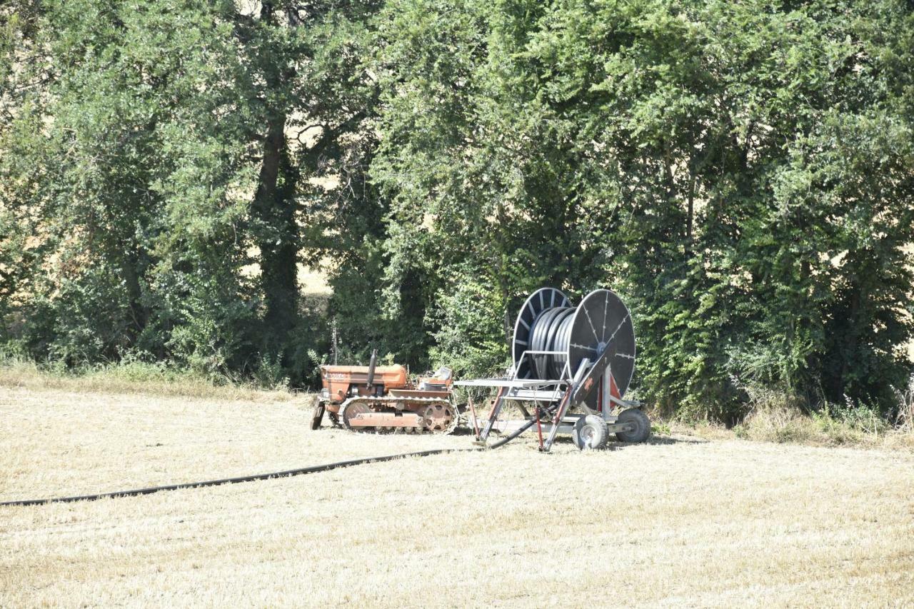 Agriturismo Fattoria Del Colle Villa Jesi Eksteriør billede