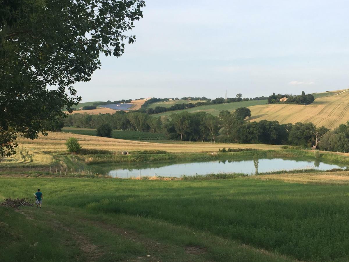 Agriturismo Fattoria Del Colle Villa Jesi Eksteriør billede