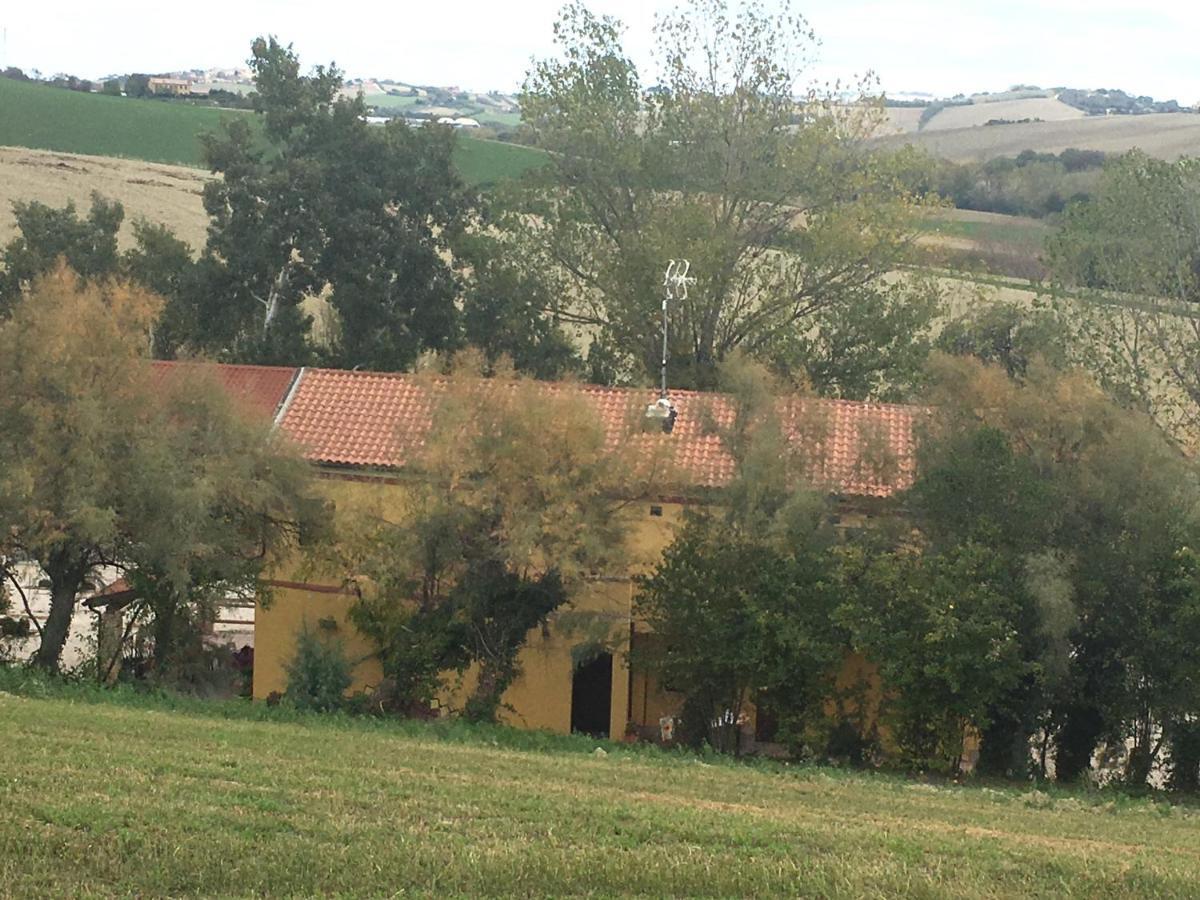 Agriturismo Fattoria Del Colle Villa Jesi Eksteriør billede