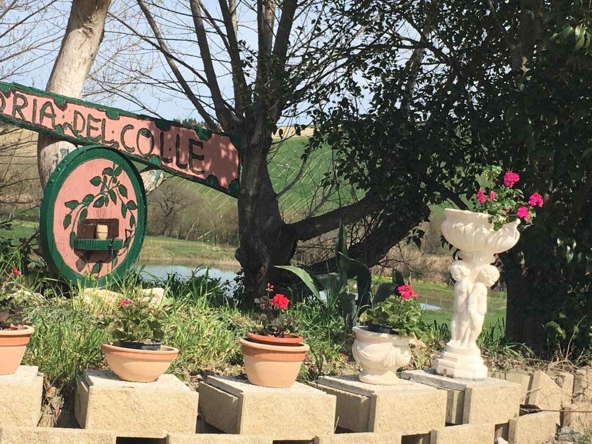 Agriturismo Fattoria Del Colle Jesi Eksteriør billede
