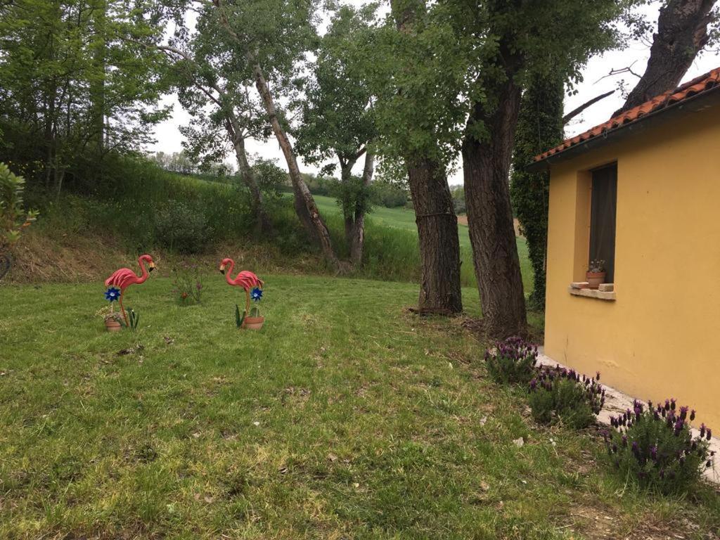 Agriturismo Fattoria Del Colle Jesi Eksteriør billede
