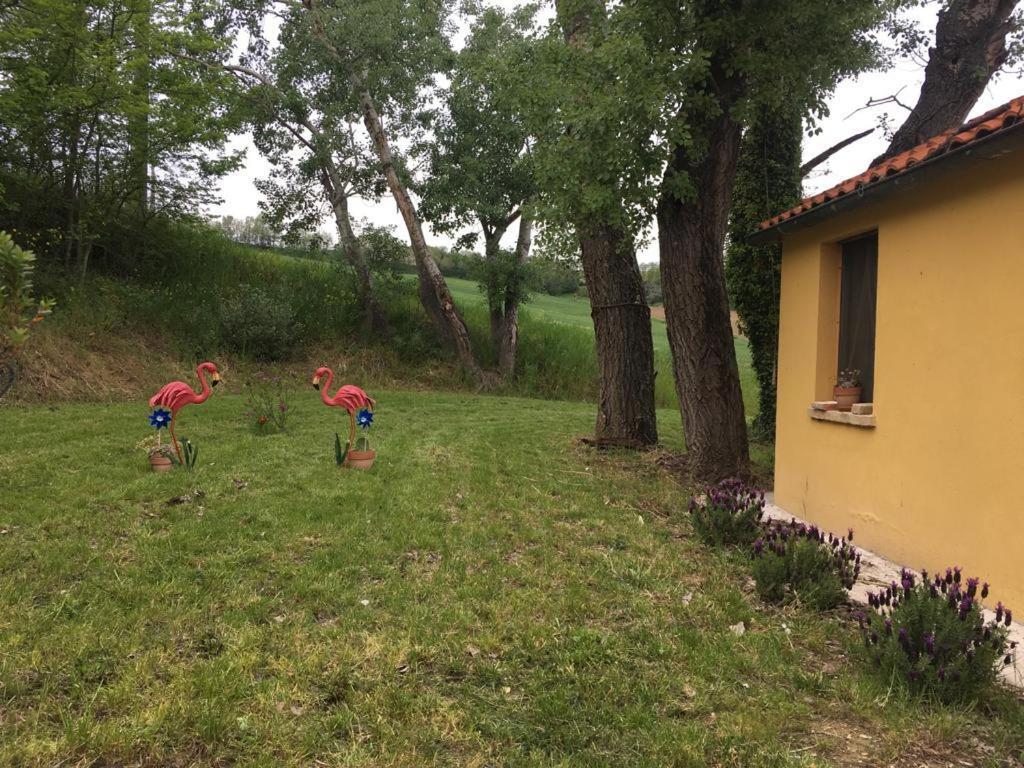 Agriturismo Fattoria Del Colle Villa Jesi Eksteriør billede