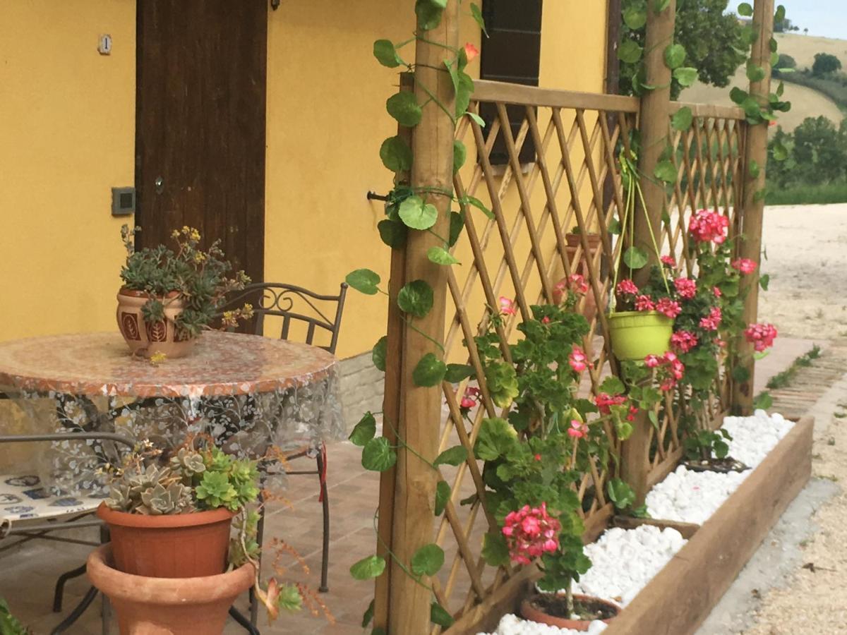 Agriturismo Fattoria Del Colle Jesi Eksteriør billede